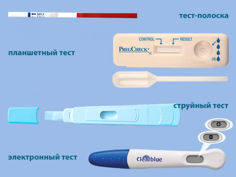 Симс 4 что будет если не сделать тест на беременность