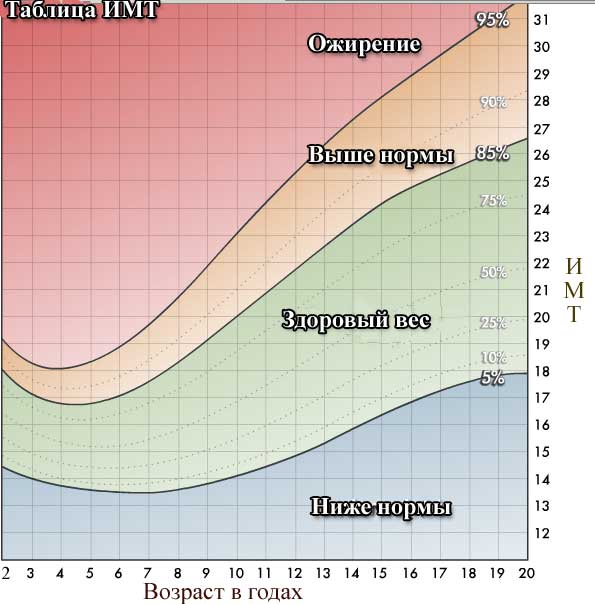 Расчет и норма ИМТ для детей. Таблицы ИМТ и как ими пользоваться