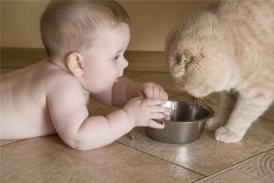 Ребенок съел кошачий корм. Насколько все плохо??