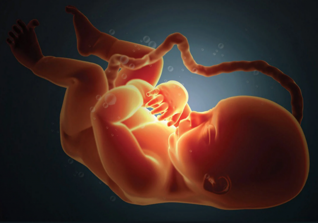 Как ребенок дышит в утробе матери